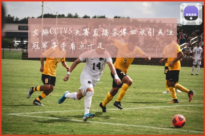 女排CCTV5决赛直播录像回放引关注冠军争夺看点十足