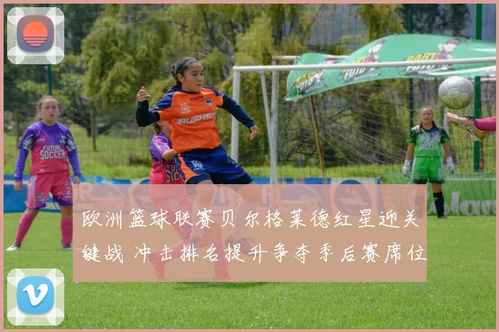 欧洲篮球联赛贝尔格莱德红星迎关键战 冲击排名提升争夺季后赛席位