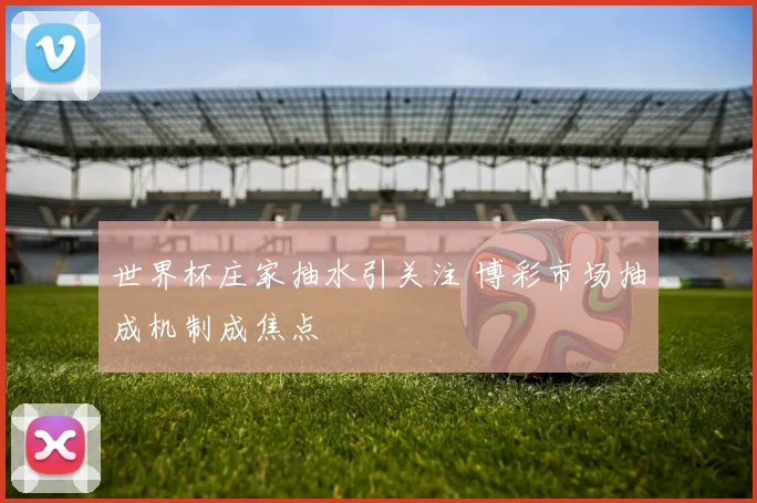 世界杯庄家抽水引关注 博彩市场抽成机制成焦点