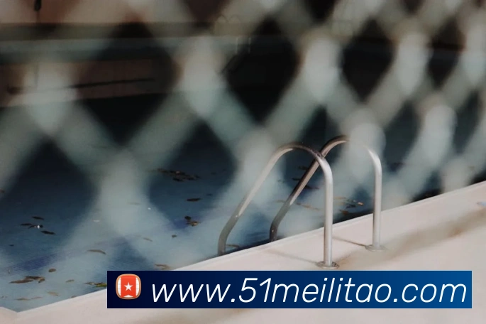 App Interface Preview